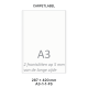Carpetlabel A3/1-1 FS - 287x420mm  