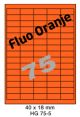 Fluo Oranje HG 75-5 - 40x18mm  